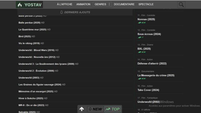 Les meilleurs films et séries en streaming gratuit avec Rikmod.